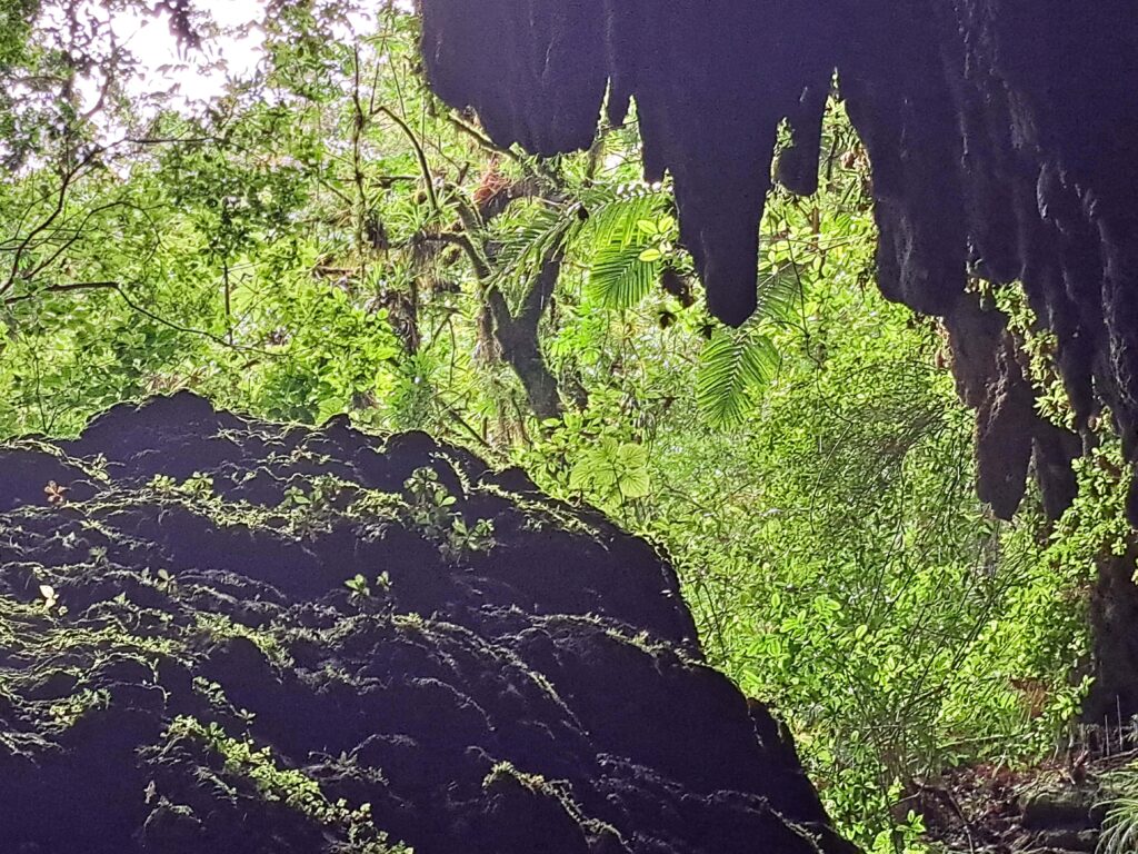 12 Blick aus der Hoehle