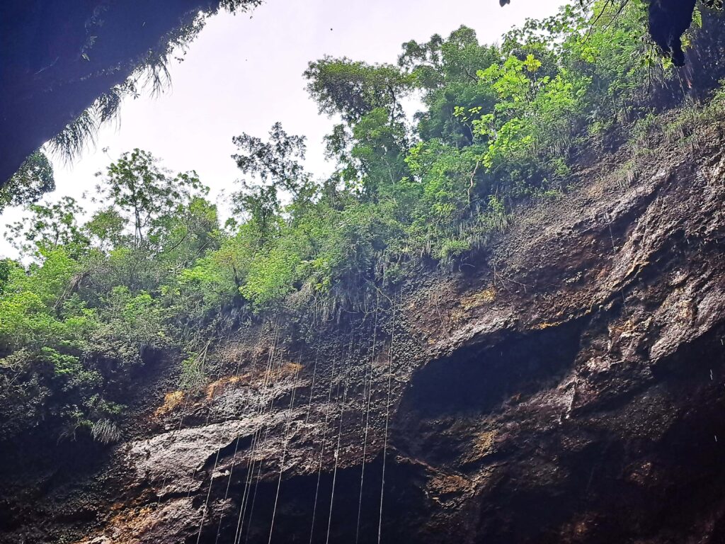 16 Blick in den Himmel