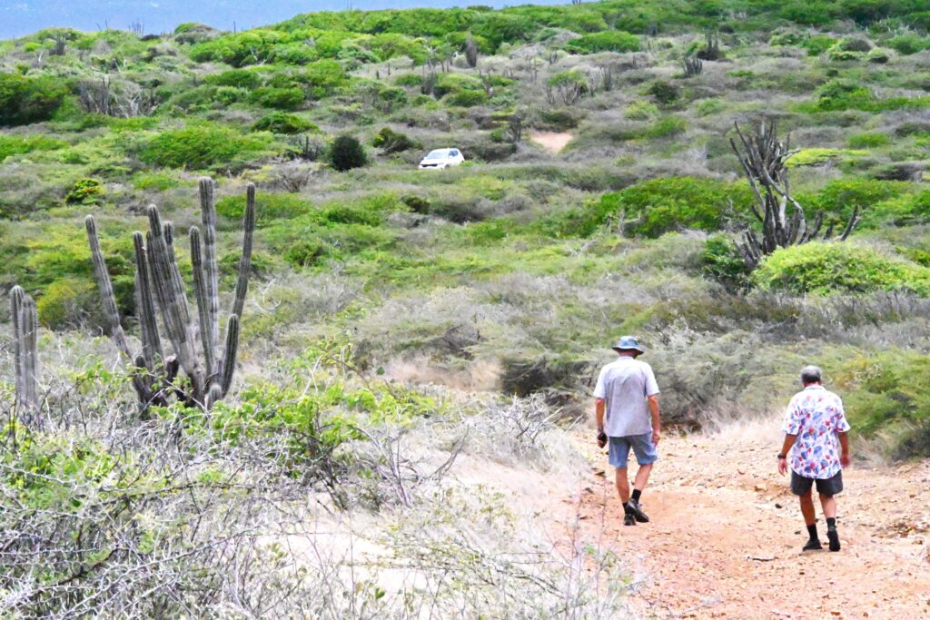 Auto im Christoffel Park
