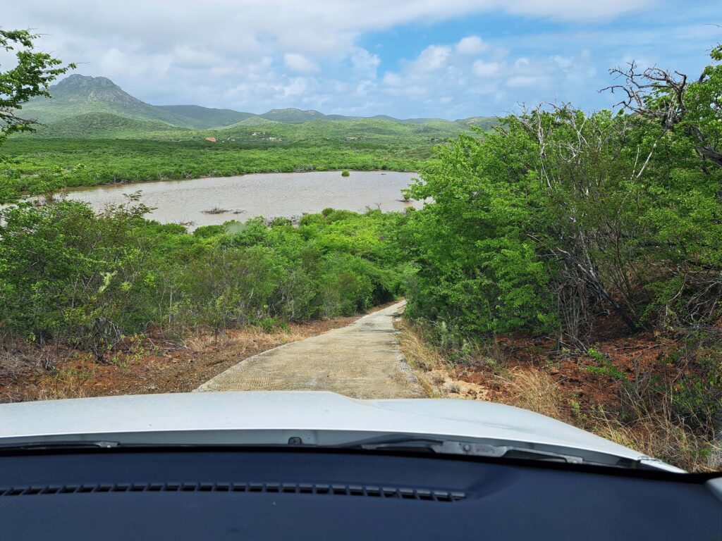 Autoweg durch Christoffel Park