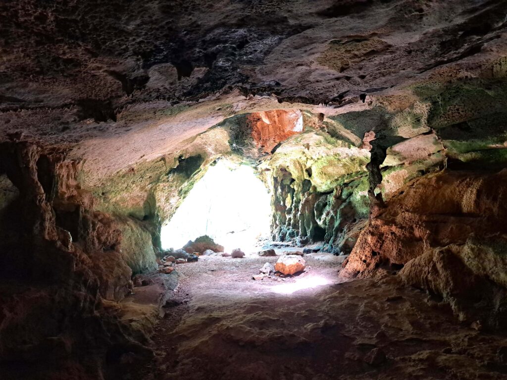 Blick aus der Hoehle