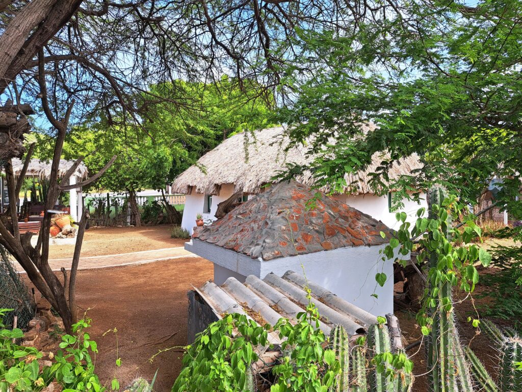 Kas di pali maishi 2