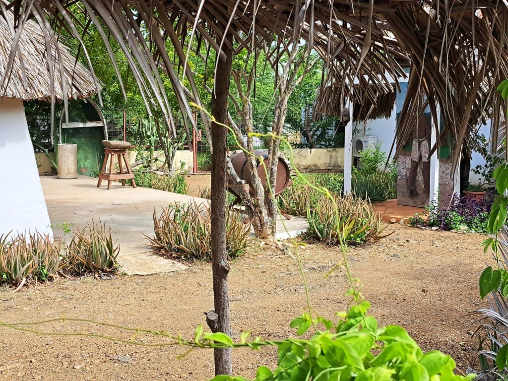 Kas di pali maishi 3