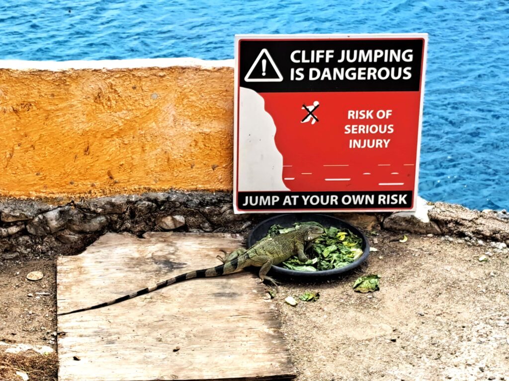 Warnschild Klippenspringen