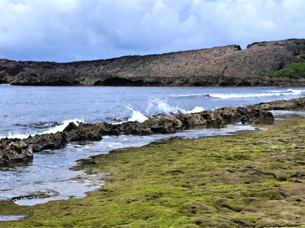 x 04 Nahaufnahme Meer