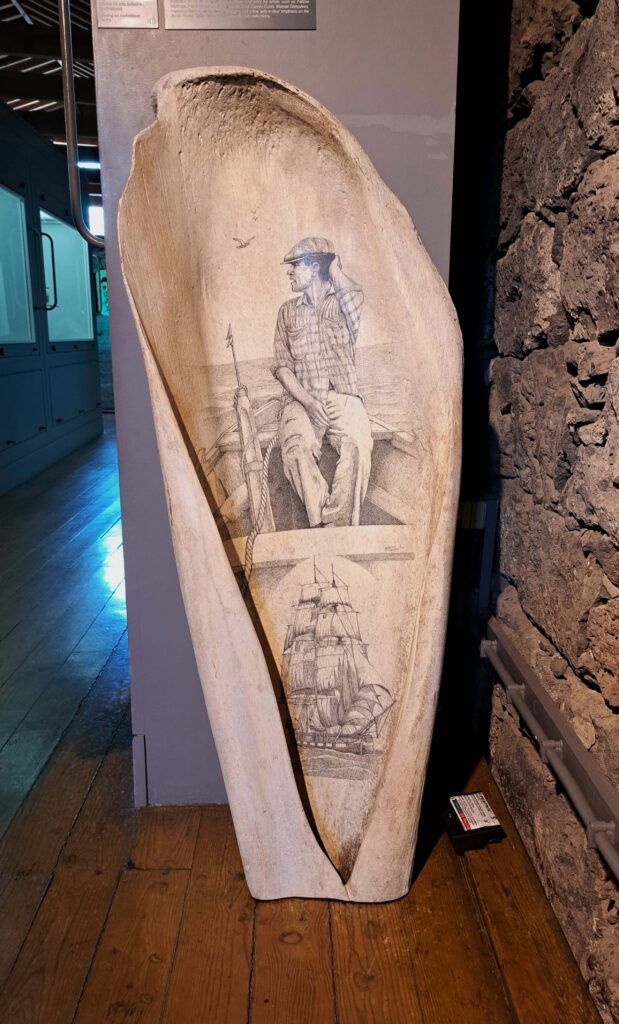 11 grosser bemalter Walknochen