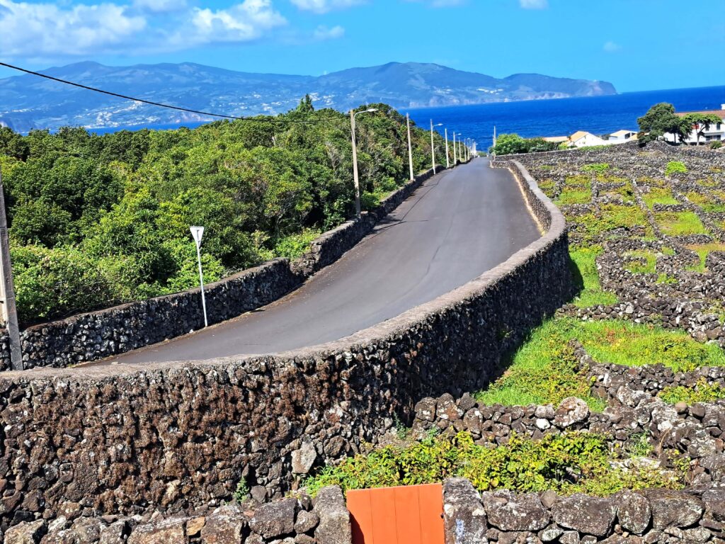 14 Strasse und Weingut Pico