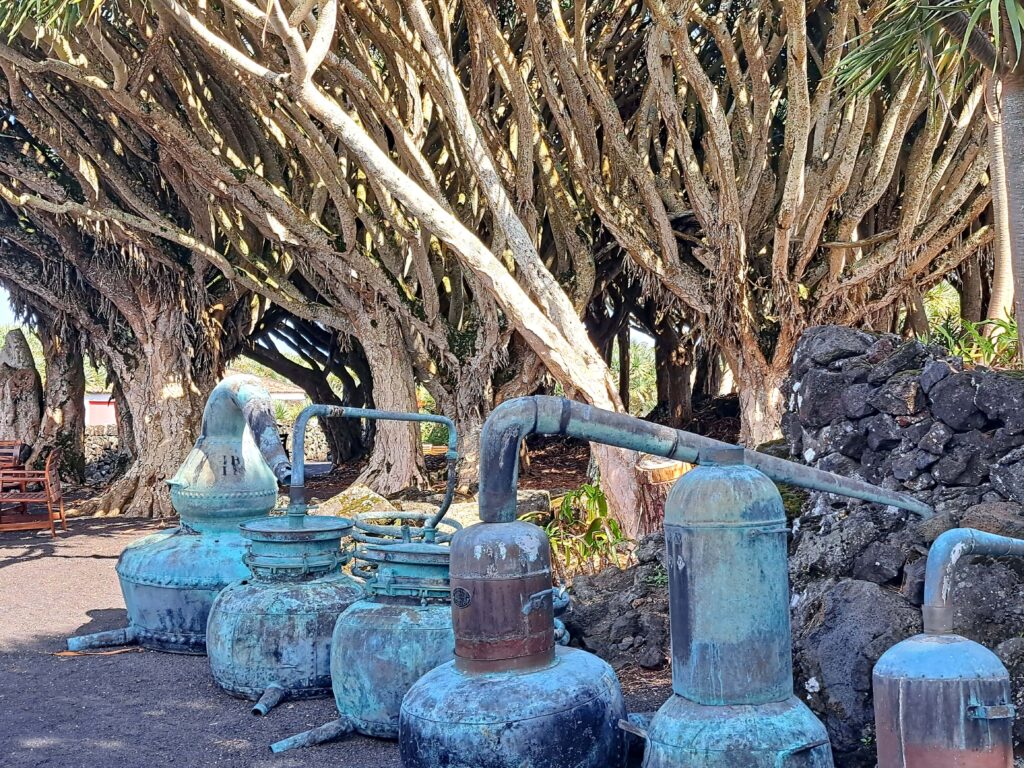 15 Destillationsgeraete historisch