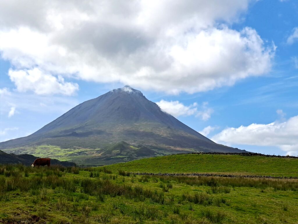 33 Der Pico in voller Pracht
