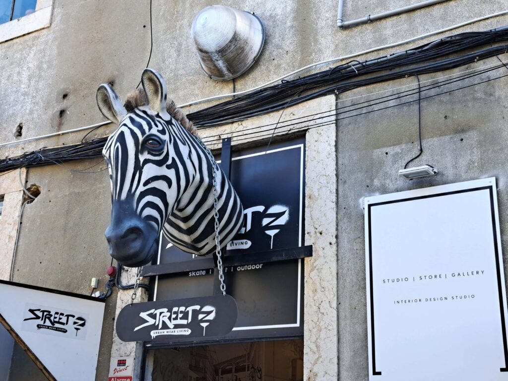 Zebrakopf