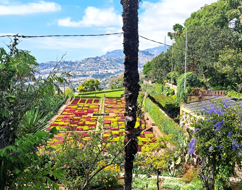 Der beruehmteste Garten von Madeira