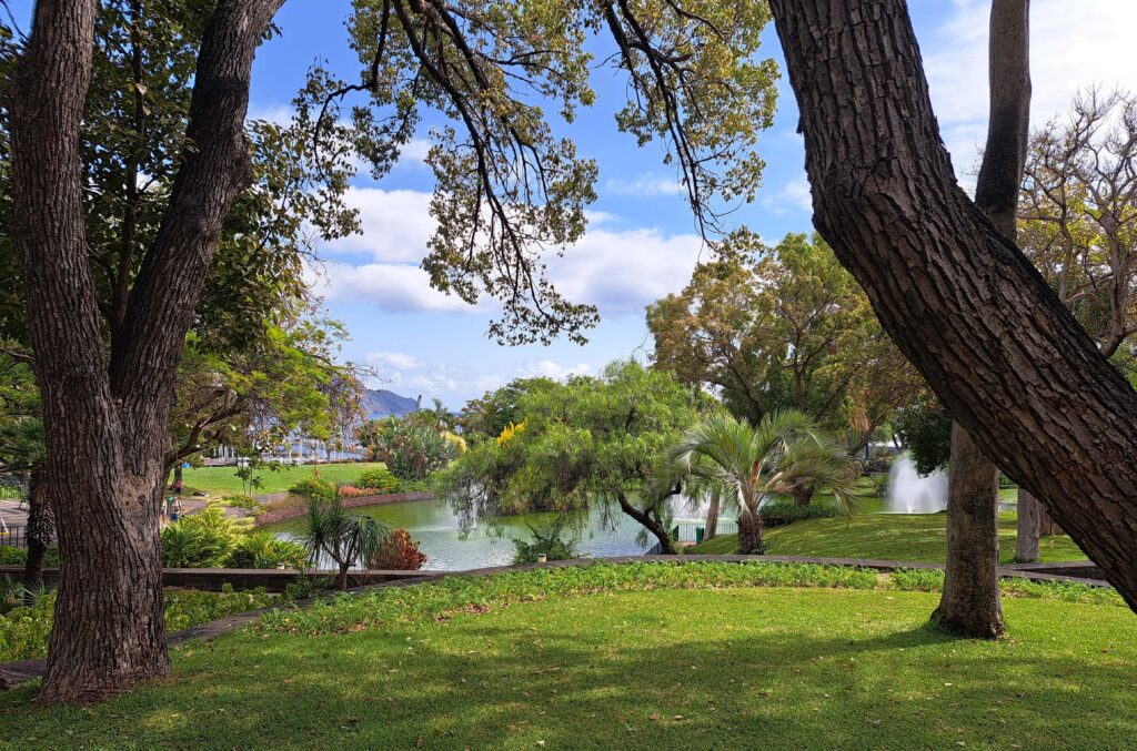 Garten mit See Funchal
