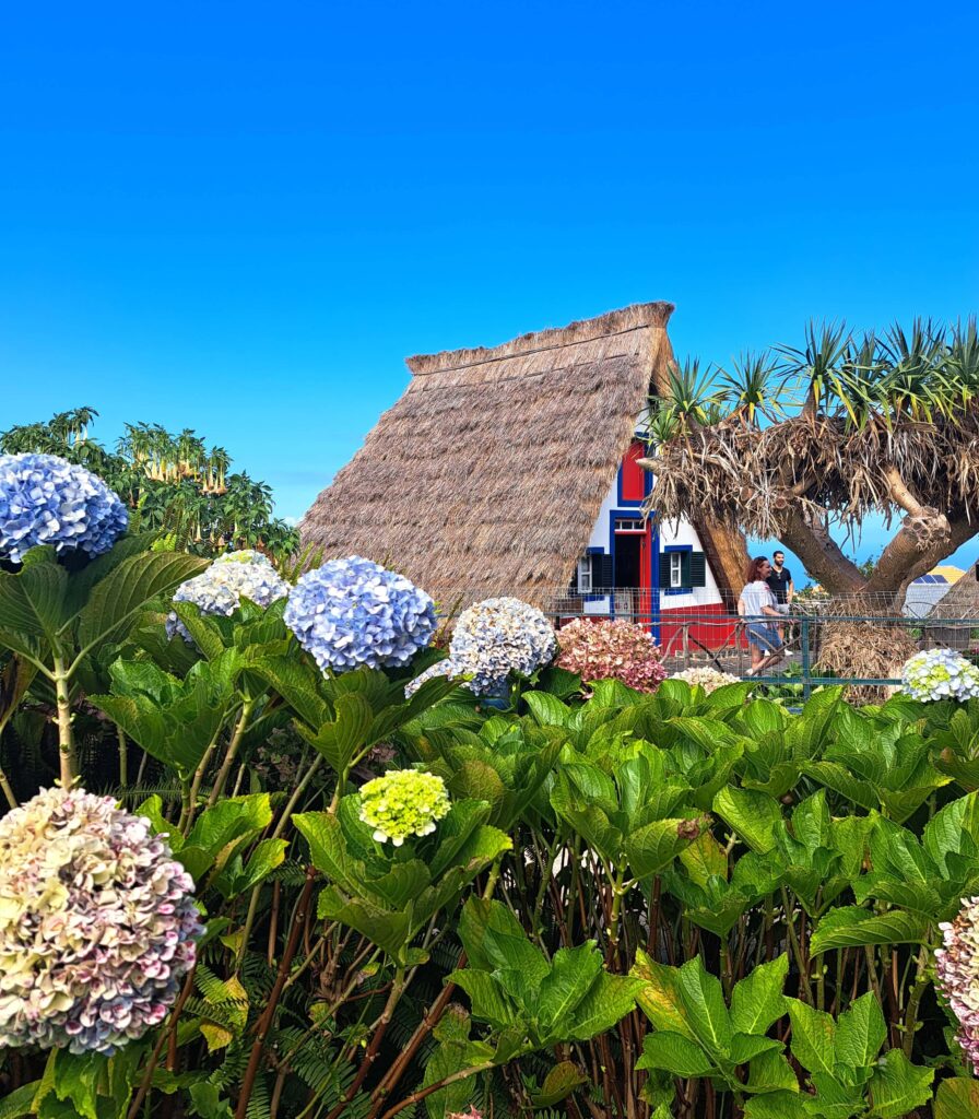 Santana Haeuschen mit Hortensien