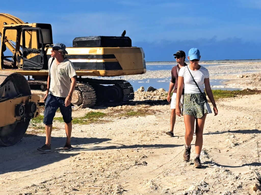 Bagger im Salinengebiet