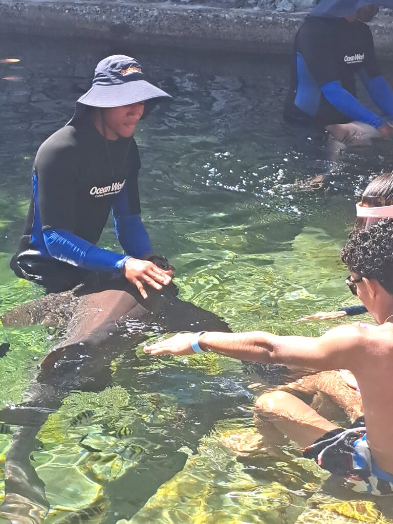 Haikuscheln fuer Touris