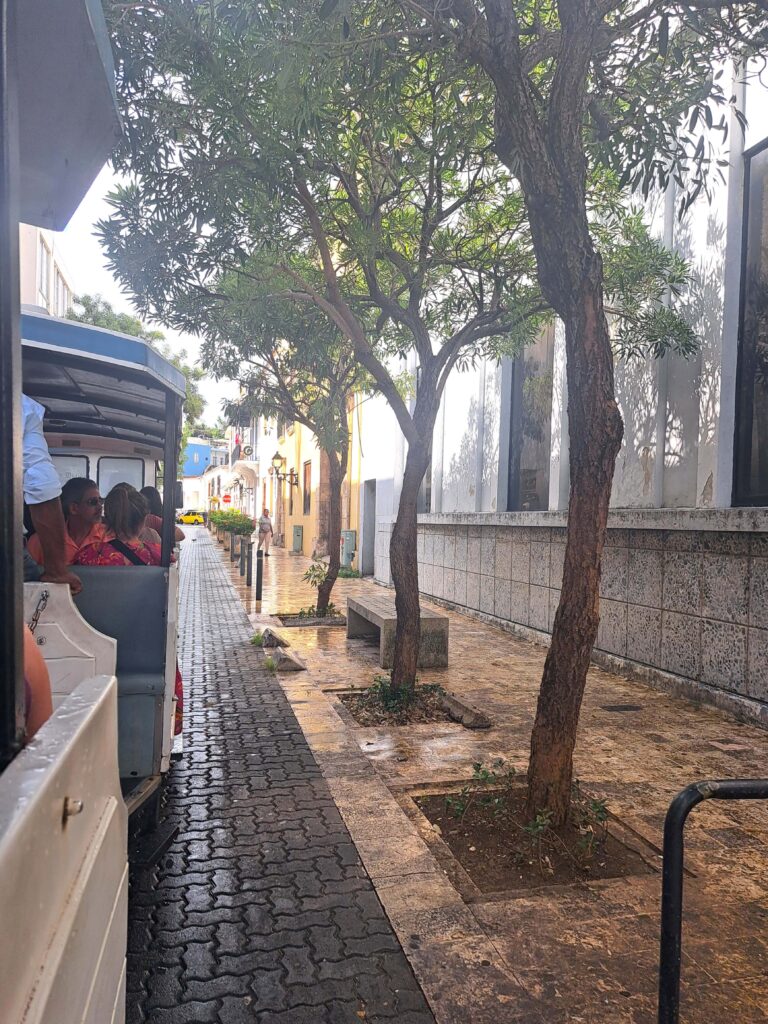 Mit der Tram durch die Altstadt