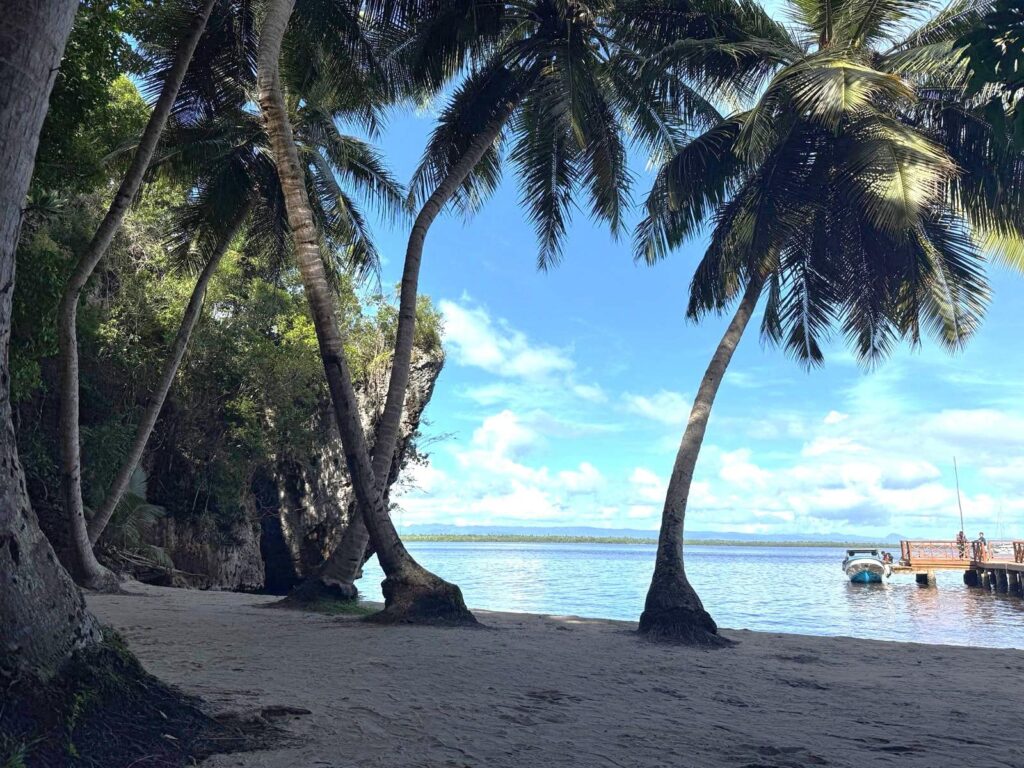 Palmenstrand Los Haitises