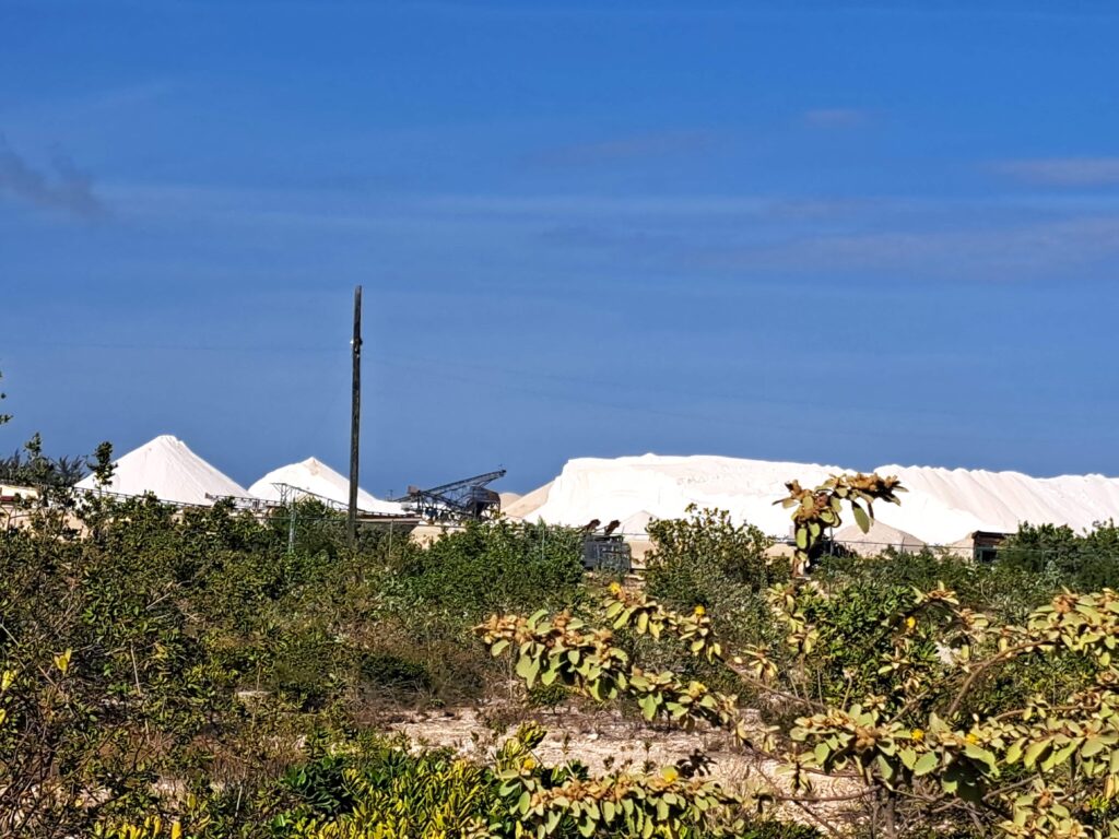 Salzberg Seitenansicht