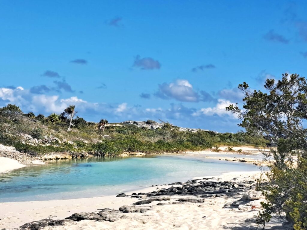 03 Rachels Bubble Bath