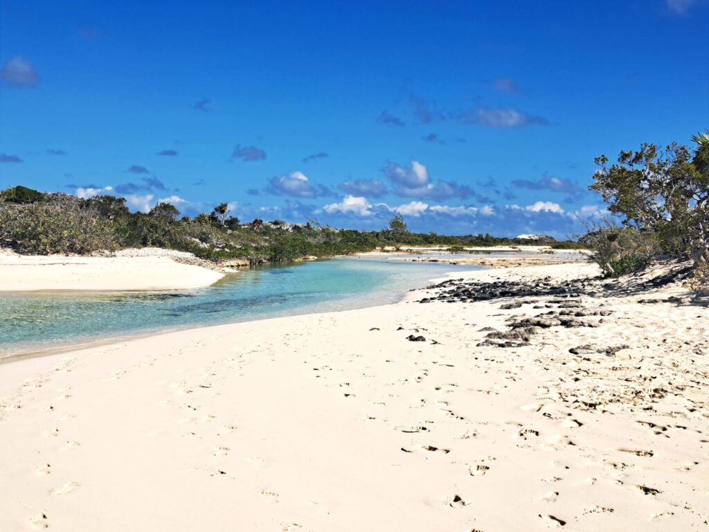 04 Rachels Bubble Bath