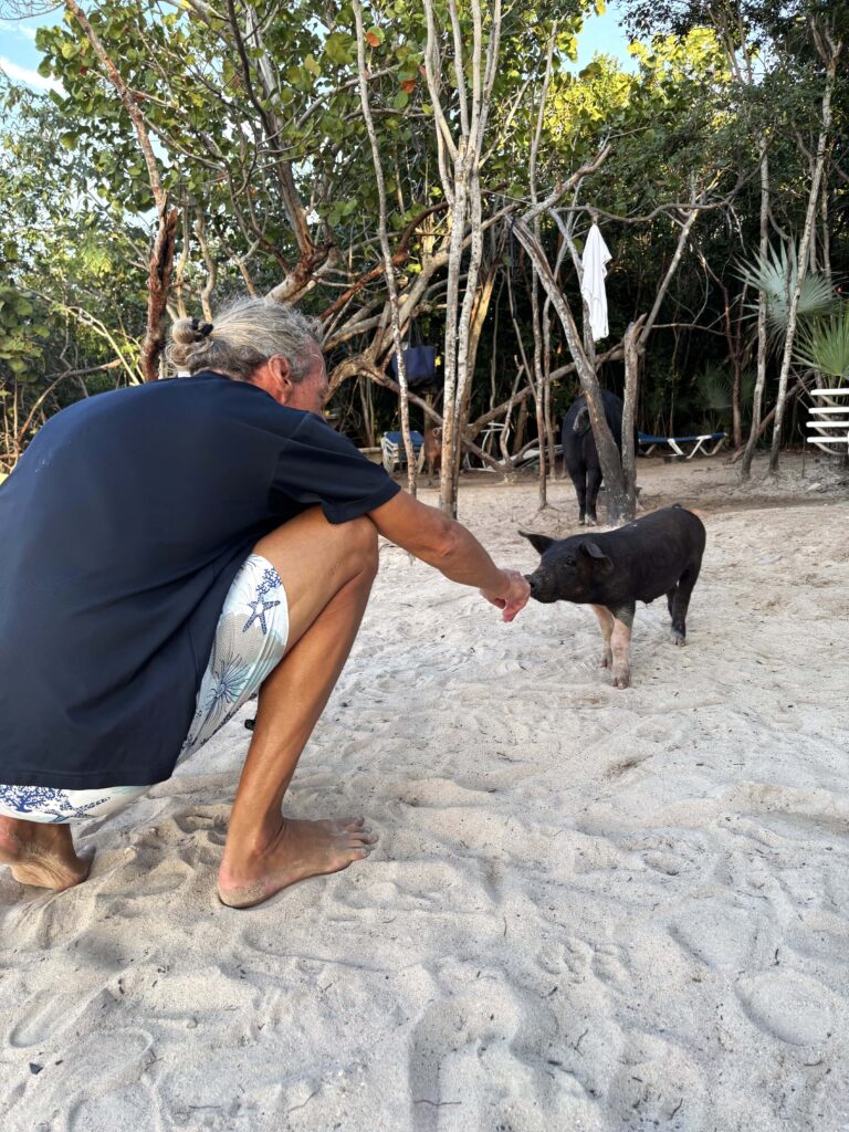 05 Schweine Athol Cay