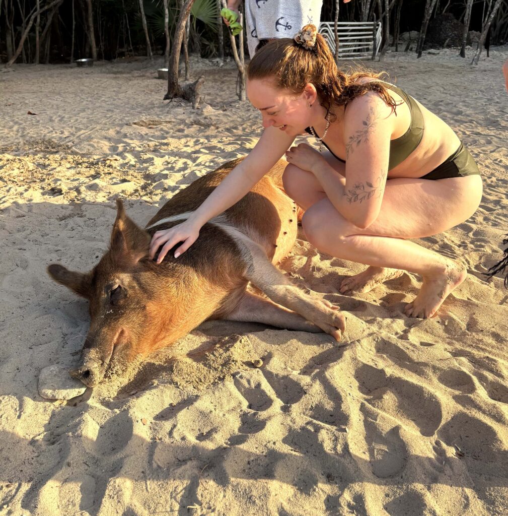 07 Schweine Athol Cay