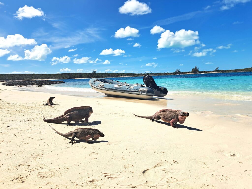Mit dem Dinghy zum Leaf Cay