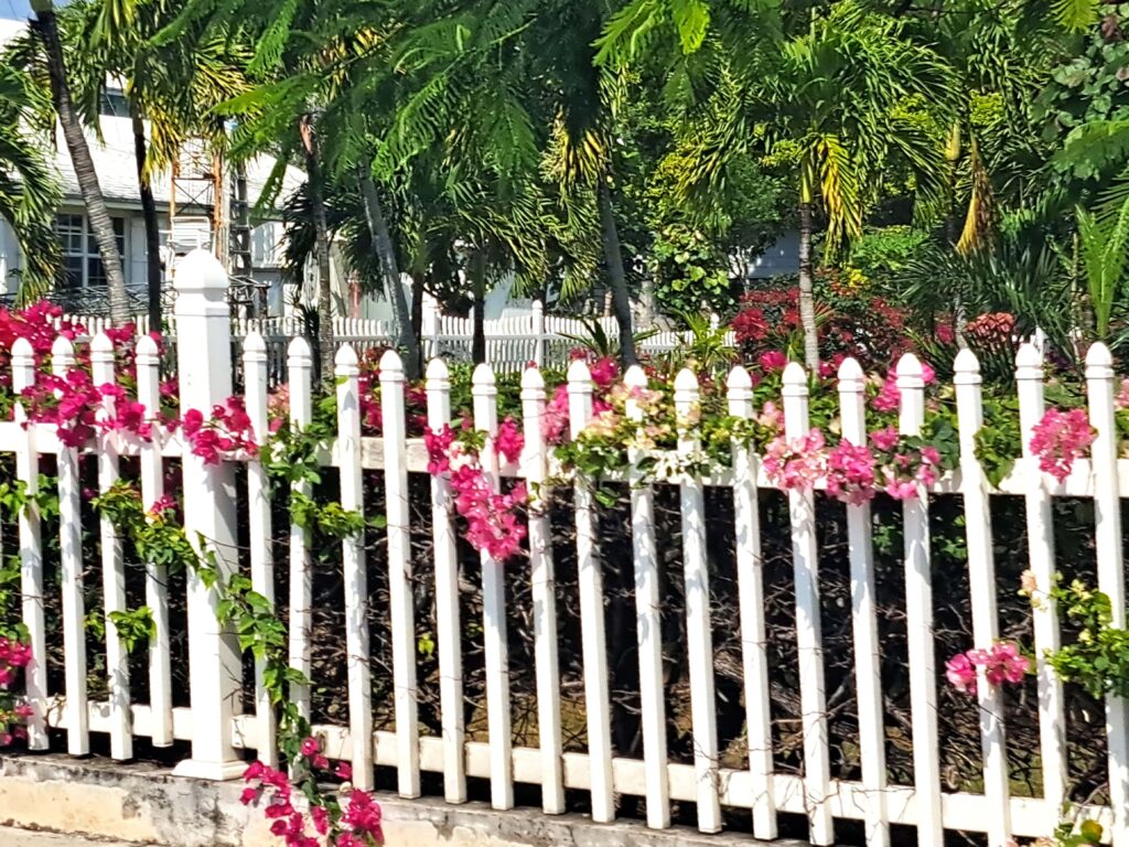 So wie dieser Garten sieht es überall aus. Es grünt und blüht wo man hinsieht.