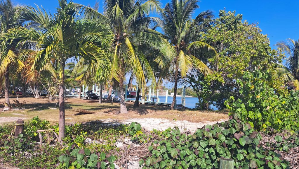 Von überall kann man das Meer sehen.