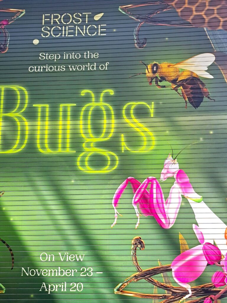 Schild Bugs Sonderausstellung