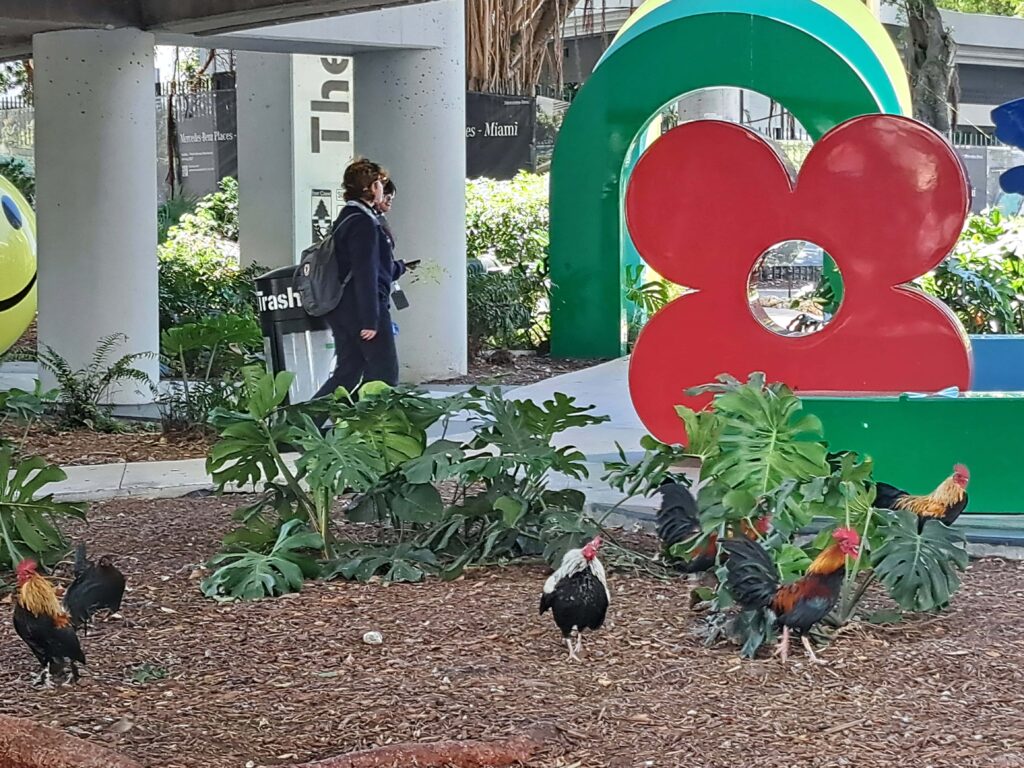 Skulpturenpark mit Huehnern