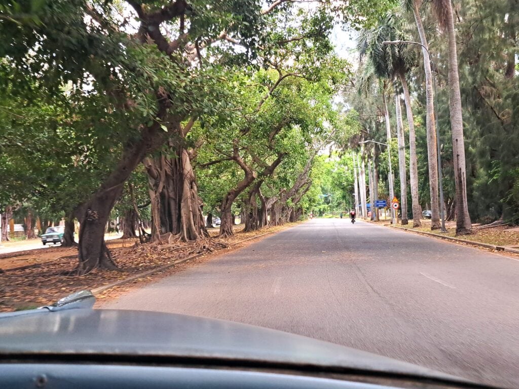 Die breite Allee führt von der Hemingway Marine in die kubanische Hauptstadt Havanna - la Habana.