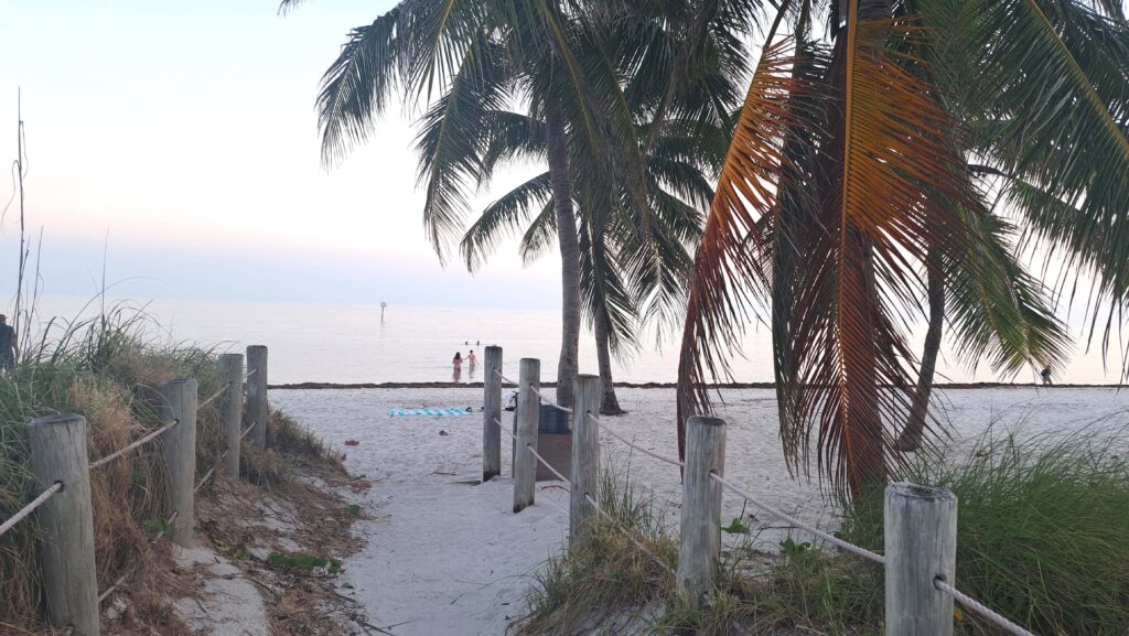 30 Key West Sandstrand unter Palmen