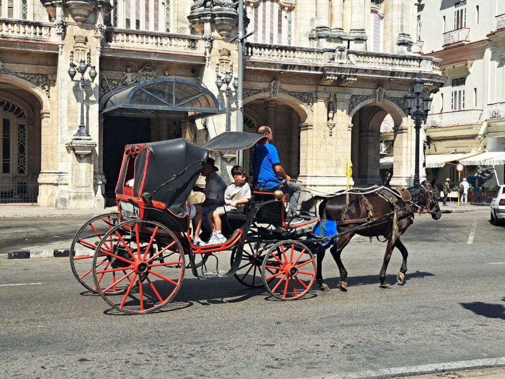 Stadtrundfahrt mit einer historischen Pferdekutsche, auch so läßt sich Havanna erkunden.